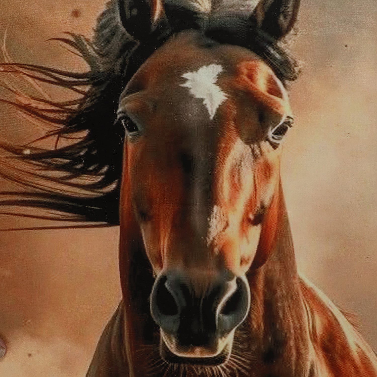 Mustang