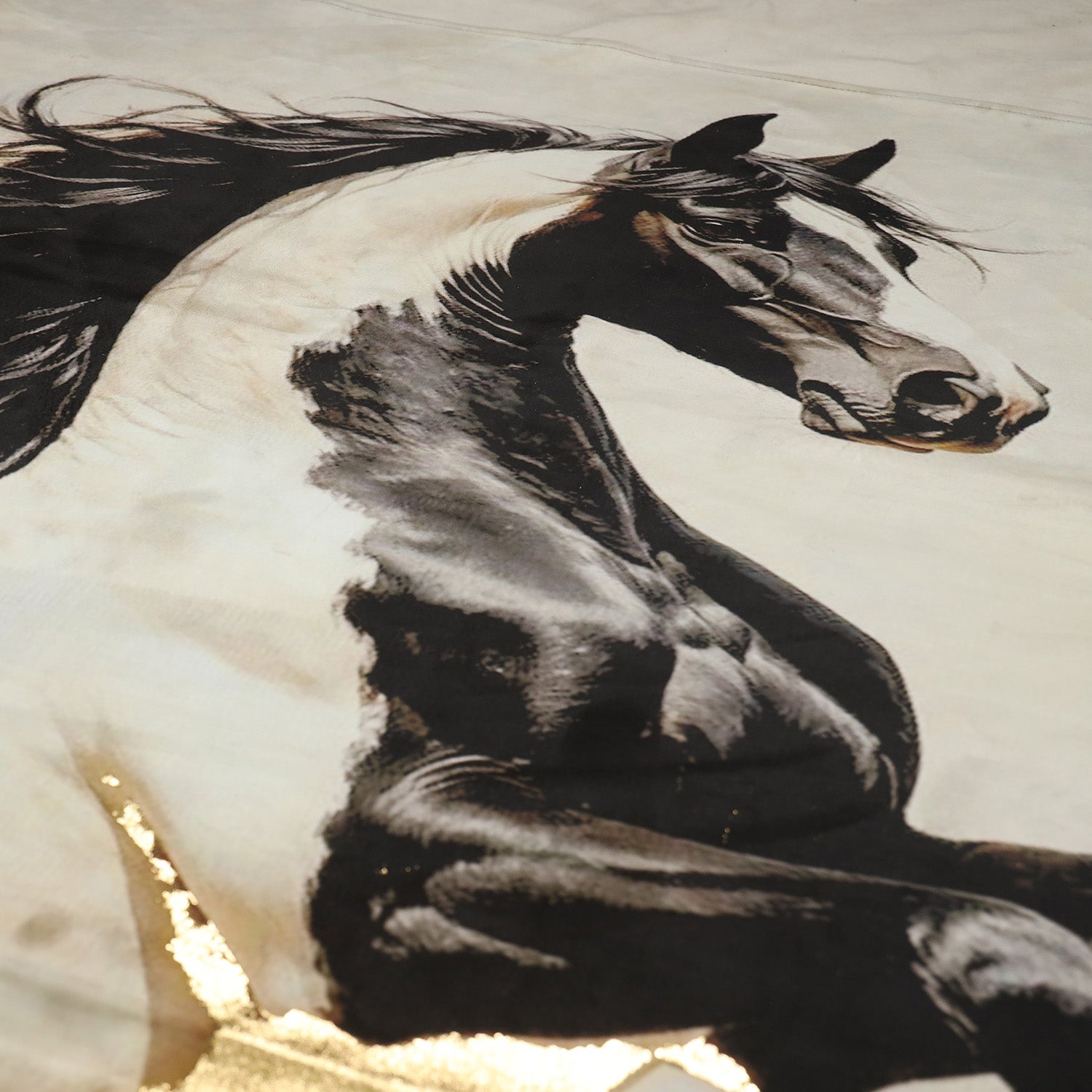 Stallion